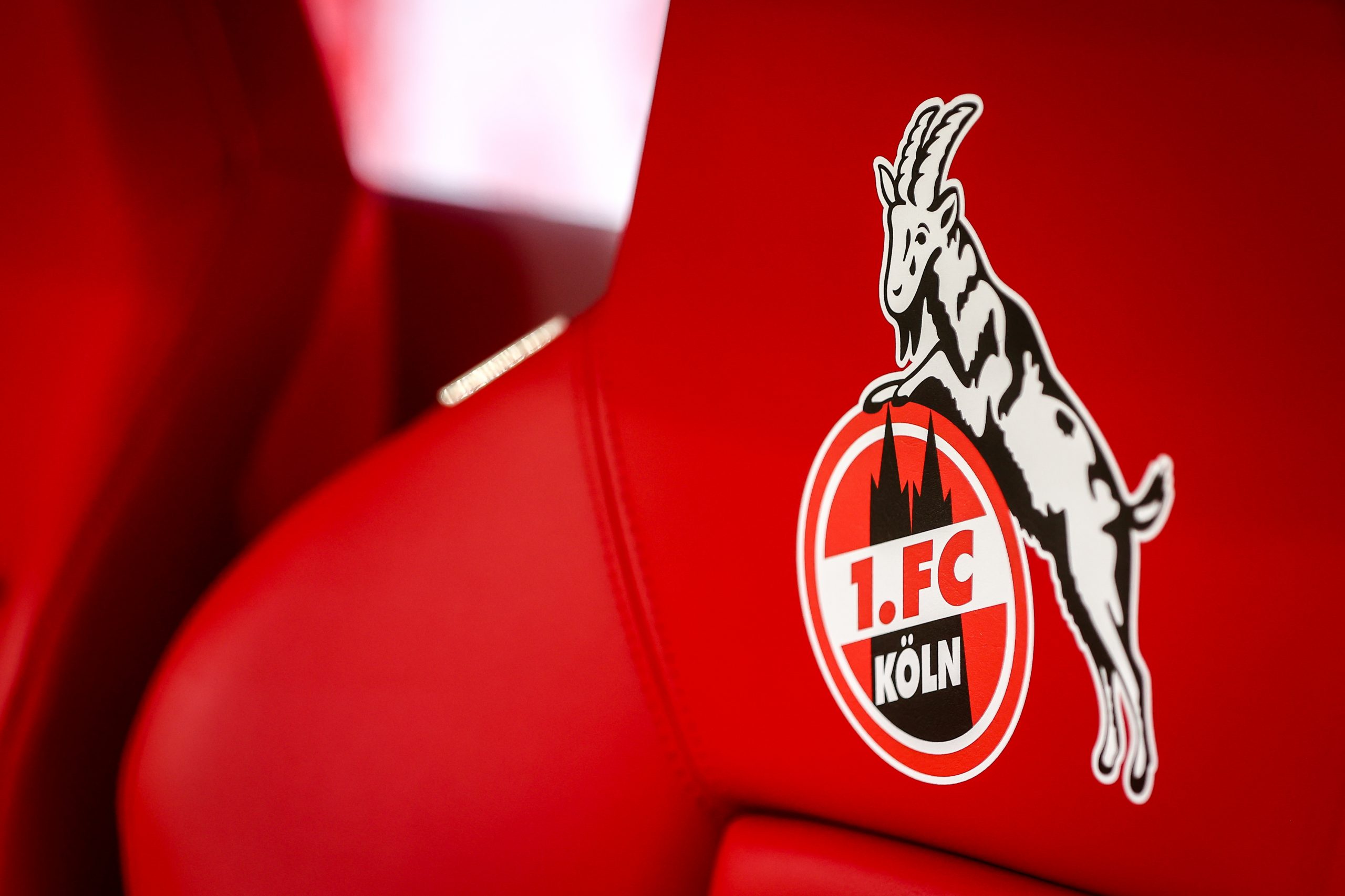 Tifo trop violent ? La DFB ouvre une enquête sur le 1. FC Köln !