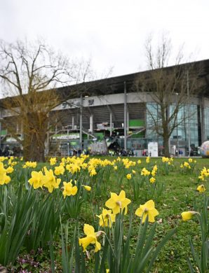 « Wir für morgen » : Wolfsburg dévoile son plan ambitieux pour un football plus vert !