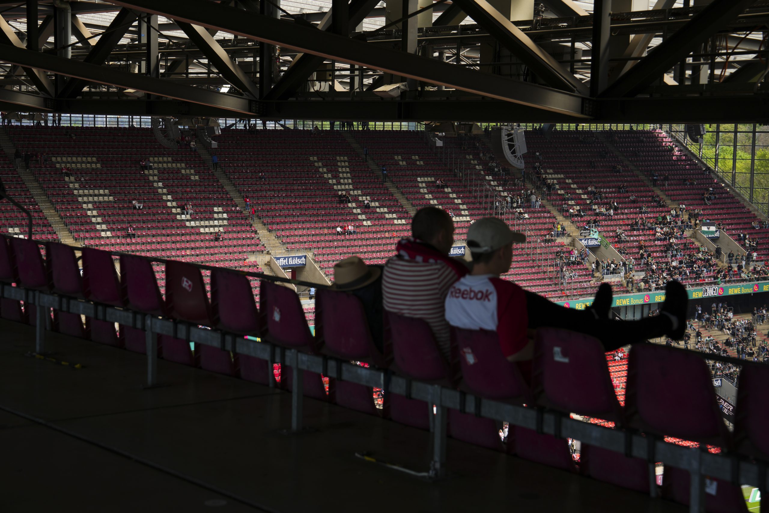 1.FC Köln : cinq profils en lice pour prendre la relève sur le banc