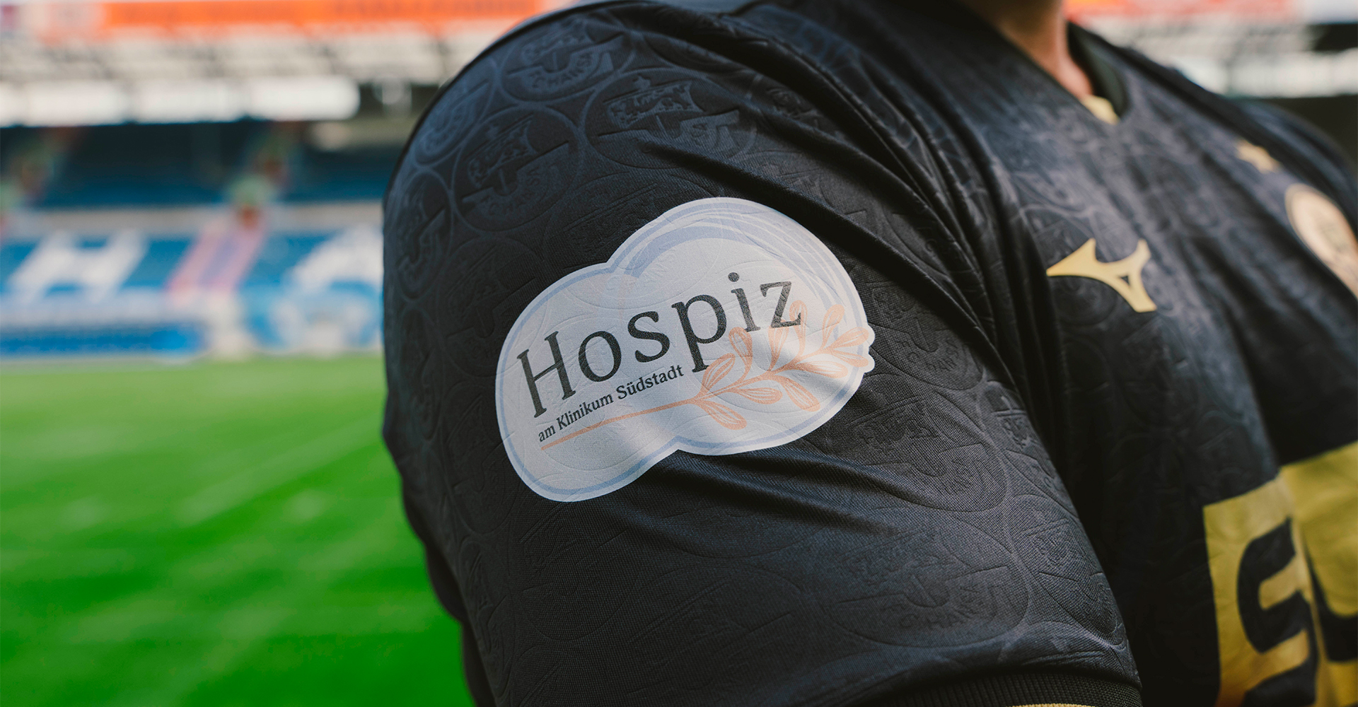Pas que du foot… Ce que le Hansa fait cet été va vous toucher !