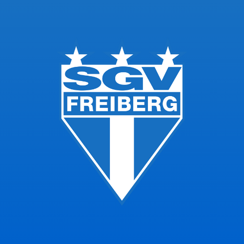 SGV Freiberg Fußball
