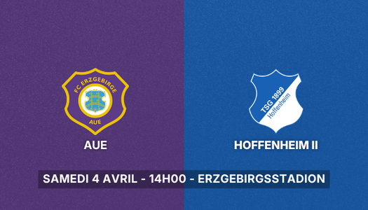 FC Erzgebirge Aue vs TSG Hoffenheim Le Fussball Media