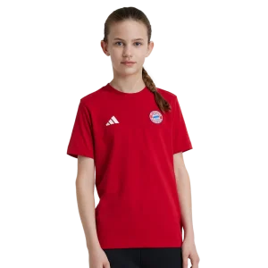 FC Bayern T-shirt DNA - Rouge - adidas